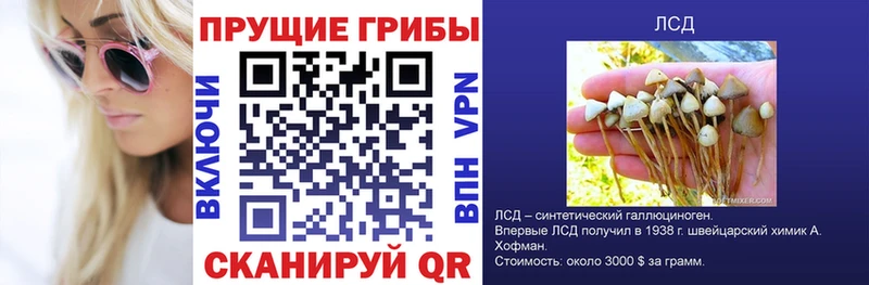 Купить закладки  Верхняя Тура  Галлюциногенные грибы Psilocybine cubensis 
