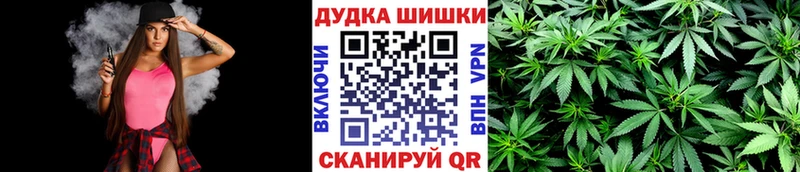 Купить закладки  Верхняя Тура  Каннабис гибрид 